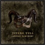 Sleeve JethroTull_CuriousRuminant copy